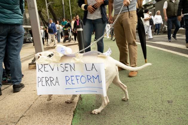 September 9, 2024, Mexico City, Mexico: Thousands of Mexicans took over the streets of Mexico City as they were marching to protest against the proposed judicial reform. They fear that the proposal by outgoing President Lopez Obrador will undermine democracy in the state. Mexico City Mexico  - ZUMAest 20240909_mda_l190_009 Copyright: xVaclavxLangx