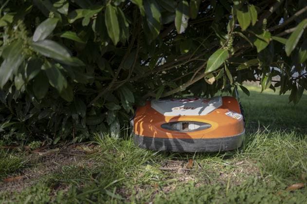 Mähroboter, Rasenmäher, Stihl, orange und weiß, unter einem Kirschlorbeerstrauch, auf Rasen stehend, Gefahr für Igel, Nordrhein-Westfalen, Deutschland, Europa Mowing robot, lawn mower, Stihl, orange and white, under a cherry laurel bush, standing on lawn, danger for hedgehogs, North Rhine-Westphalia, Germany, Europe Copyright: imageBROKER ManuelaxHartmann iblmmh11364957.jpg