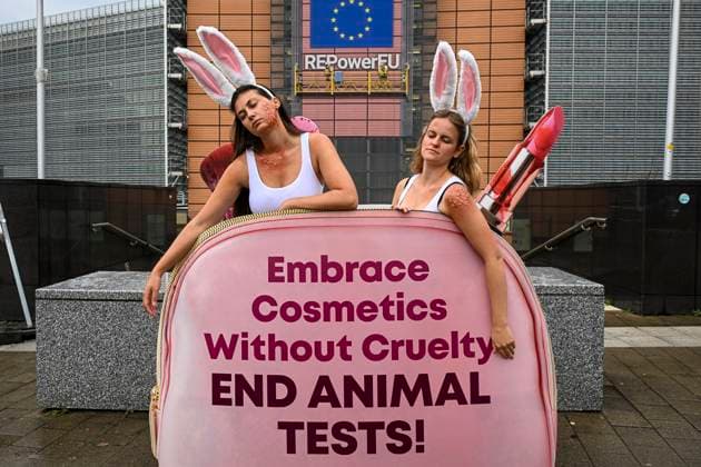 September 12, 2024, Brussels, Belgium: PETA activists, dressed as bloodied and bruised rabbits, stage a protest outside the European Commission headquarters in Brussels. The demonstration is a part of PETA s ongoing campaign urging the European Commission to uphold and strengthen the EU-wide ban on animal testing for cosmetics. Brussels Belgium - ZUMAw80_ 20240912_faf_w80_017 Copyright: xWiktorxDabkowskix