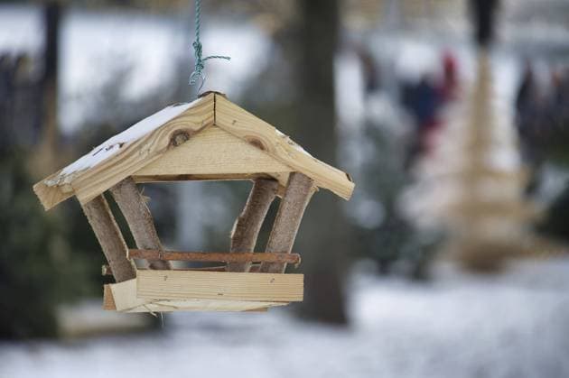 Hölzernes Vogelfutterhaus, geformt wie ein kleines Haus, an einer Schnur hängend in einer verschneiten Umgebung, der Hintergrund ist unscharf, mit schneebedeckten Bäumen Wooden bird feeder, shaped like a small house, hanging from a string in a snowy environment, background is blurry, containing snow-covered trees Copyright: imageBROKER NerijusxLiobe ibxiqx11190496.jpg