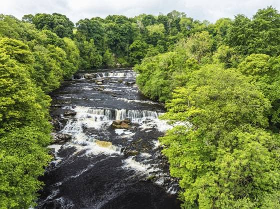 Aysgarth Falls am Fluss Ure aus einer Drohne, Yorkshire Dales National Park, North Yorkshire, England, Großbritannien, Europa Aysgarth Falls on River Ure from a drone, Yorkshire Dales National Park, North Yorkshire, Englan Copyright: imageBROKER MaciejxOlszewski ibxmao11111846.jpg