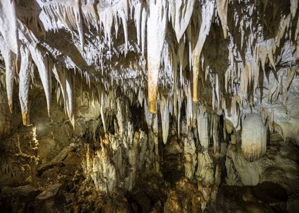 Tropfsteinhöhle, Terciopelo Höhle, Nationalpark Barra Honda, Costa Rica, Mittelamerika Stalactite cave, Terciopelo Cave, Barra Honda National Park, Costa Rica, Central America Copyright: imageBROKER MoritzxWolf ibxmmw11072295.jpg