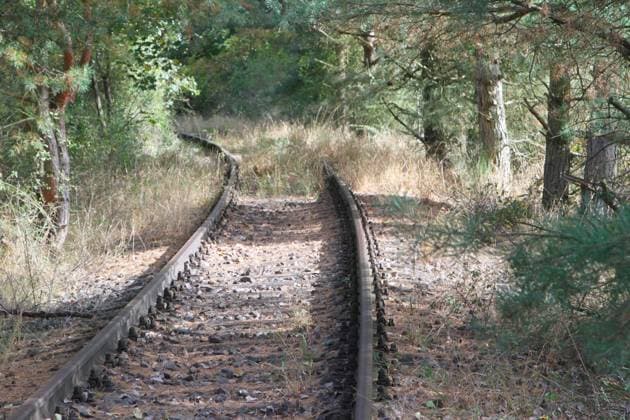 Es fährt ein Zug nach nirgendwo: Blick am Sonnabend (14.09.2024) auf leere Gleise entlang der Bahnstrecke zwischen Salem und Dragun (Landkreis Mecklenburgische Seenplatte). Auf der Strecke wurde im Jahr 1907 der Bahnverkehr eröffnet und 1996 eingestellt. Später bestand noch die Möglichkeit, den Schienenstrang mit einer Draisine zu befahren. Inzwischen ist hier im wahrsten Sinne des Wortes der letzte Zug abgefahren. Überall an der Strecke wuchert Gras und Unkraut. Dazu sind bestimmte Gleisabschnitte gar nicht mehr zu befahren was eine unhaltbare Situation für die Region darstellt die sehr vom Tourismus geprägt ist und mit der einstigen Naturparkdraisine inzwischen ein touristisches Highlight verloren hat. *** Theres a train going nowhere Vi