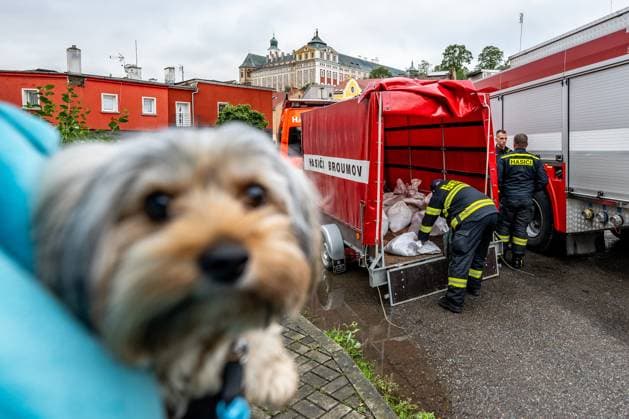 News Themen der Woche KW37 News Bilder des Tages Flooded Stenava River during heavy rains in Broumov, Czech Republic, on September 15, 2024. (CTKxPhoto DavidxTanecek) CTKPhotoP2024091506226  CTKPhotoP2024091506226