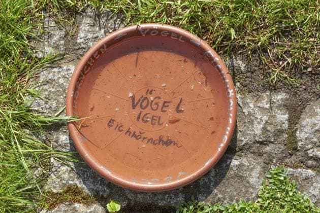 Auf dem Boden stehende mit Wasser gefüllte Schale als Tränke für Vögel, Igel und Eichhörnchen, Deutschland, Europa Water-filled bowl on the ground as a drinking trough for birds, hedgehogs and squirrels, Germany, Europe Copyright: imageBROKER TorstenxKrüger ibxtok11086186.jpg