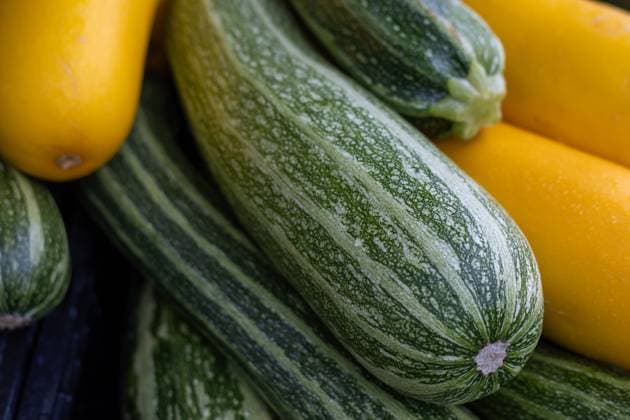 Close-up of striped green zucchini and yellow squash piled together Kelowna, British Columbia, Canada R_PESF240921C1-1542741-01 ,property released