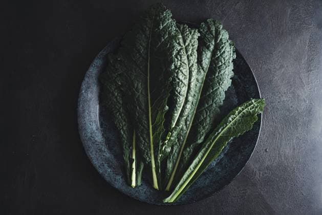 Cavolo nero schwarzer Grünkohl auf schwarzem Teller Cavolo nero black curly kale vegetable on black plate Copyright: imageBROKER ELISABETHxCOELFEN ibxiqx11269902.jpg