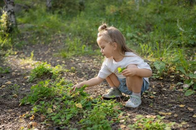 MR_ID23881_18385_SofiaGizzatullina.jpg, MR_ID23881_18386_LeyaGizzatullina.jpg, MR_ID23881_18387_AvroraGizzatullina.jpg A young girl crouches down to examine the green foliage during a walk in the woods, illustrating a moment of curiosity and nature exploration Model Released LiliyaSolopova_ID23881_692972_023 Copyright: xLiliyaxSolopovax