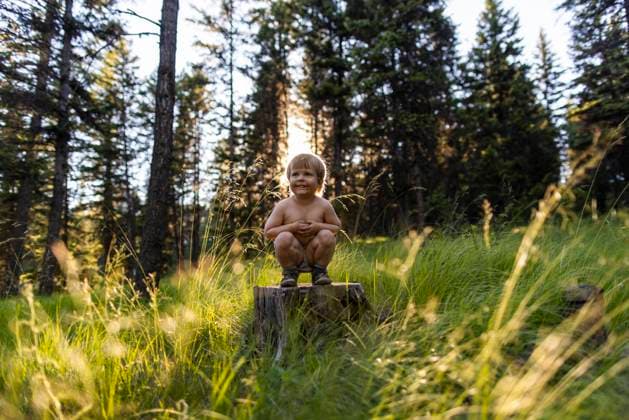 Creative Highlights Symbolfotos A young boy stands on a stump and smiles. Libby, Montana, United States CR_XICZ240924-1539853-01 ,model released, Symbolfoto
