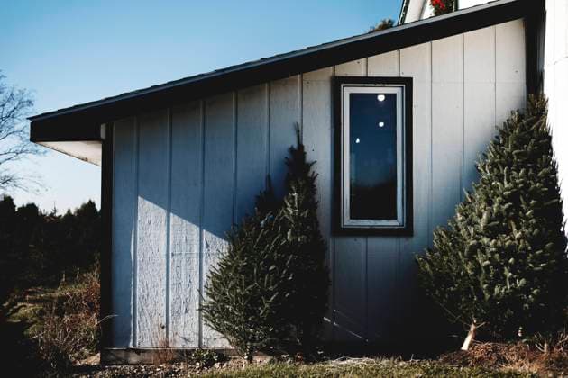 White Christmas Tree Farm Barn on a winter day in November Elburn, Illinois, United States R_CXLZ240923-1548028-01