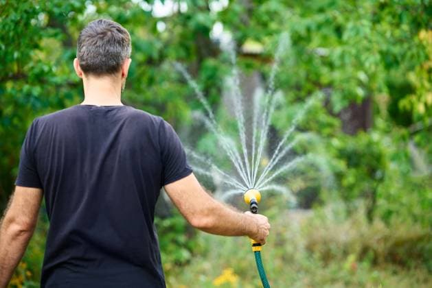 Young man watering flowers and plants in garden with hose Young man watering flowers and plants in garden with hose in sunny blooming backyard ,model released, Symbolfoto Copyright: xZoonar.com ViktorxGladkovx 22230444 ,model released, Symbolfoto ,property released