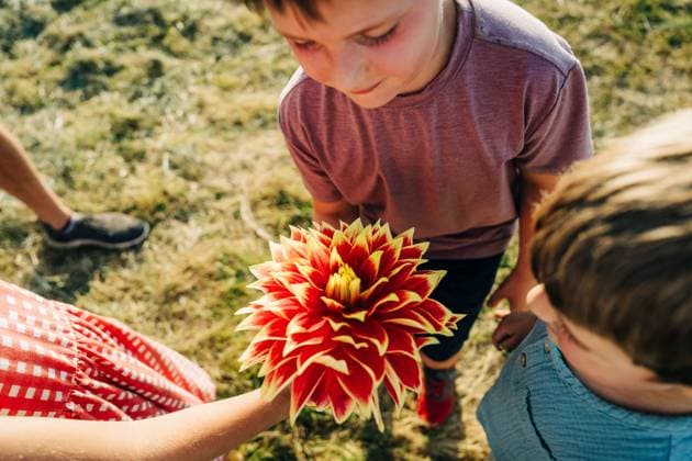 IMAGO Creative, Sommer, Sommertage im Garten IMAGO Creative, Jahreszeit Sommer, Sommerferien Creative Highlights Symbolfotos Children admiring a large, vibrant red and yellow flower outdoors Ipswich, Massachusetts, United States R_FKNH240925B-1543215-01 ,model released, Symbolfoto