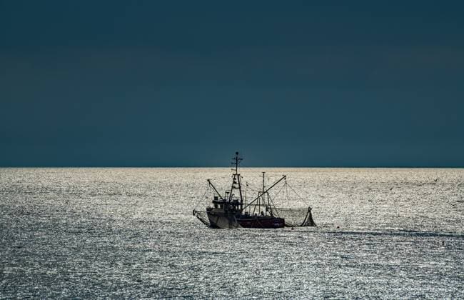 Fischkutter Fischkutter bei der Arbeit Copyright: xZoonar.com KayxAugustinx 22267797