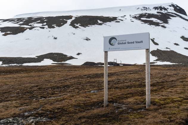 A sign for the Svalbard Global Seed Vault posted near a snow streaked mountain. Longyearbyen, Spitsbergen Island, Svalbard, Norway. Longyearbyen Spitsbergen Svalbard Islands Norway Copyright: xAgamix xSergioxPitamitzx