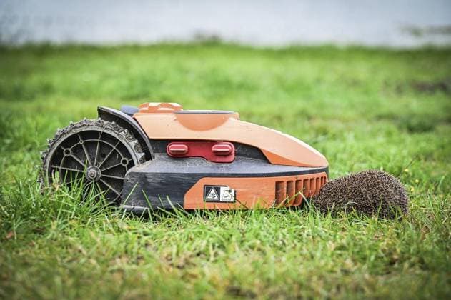 RECORD DATE NOT STATED Haus der Igel in Krefeld ** NUR FÜR REDAKTIONELLE ZWECKE ** EDITORIAL USE ONLY **<p>ein Igel sitzt gegenüber einem Mähroboter vor dem Haus der Igel in Krefeld am Mittwoch, 2. Oktober 2024. Den Igeln geht es immer schlechter. Neben den Gefahren durch Mähroboter und Co. bringt der Klimawandel den Rhythmus der heimischen Wildtiere durcheinander. Besuch bei Haus der Igel in Krefeld. Krefeld Copyright: SvenjaxHanusch *** Haus der Igel in Krefeld FOR EDITORIAL PURPOSES ONLY EDITORIAL USE ONLY p a hedgehog sits opposite a robotic mower in front of the Haus der Igel in Krefeld on Wednesday, October 2, 2024 Hedgehogs are getting worse In addition to the dangers posed by robotic mowers and the like, climate change is upsetting the rhythm Copyright: SvenjaxHanusch doc7xftkp0msb822lnnisx ,EDITORIAL USE ONLY