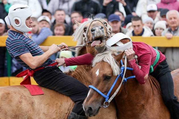 News Themen der Woche KW40 News Bilder des Tages RUSSIA, REPUBLIC OF TATARSTAN - OCTOBER 5, 2024: Riders are seen during the equestrian festival Horse Day in the village of Novy Kyrylai. Yegor Aleyev TASS  74716827