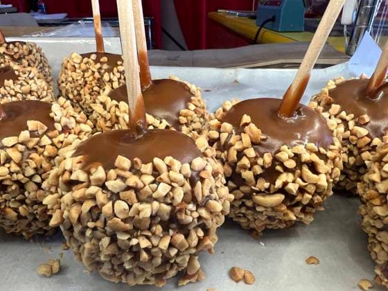 Candy Apples Caramel candy apples are covered with nuts at a carnival in Markham, Ontario, Canada, on October 5, 2024. Markham Canada  Copyright: xCreativexTouchxImagingxLtdx originalFilename: friedman-candyapp241005_npxZg.jpg