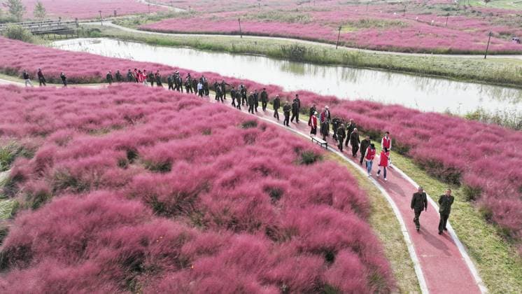Bilder des Jahres 2024, News 10 Oktober News Themen der Woche KW41 Double Ninth Festival Celebrate in Lianyungang Retired soldiers and teachers visit a scenic spot to celebrate the upcoming Double Ninth Festival in Lianyungang, Jiangsu province, China, on October 10, 2024. Lianyungang China  Copyright: xCFOTOx originalFilename: cfoto-doubleni241010_np3tf.jpg