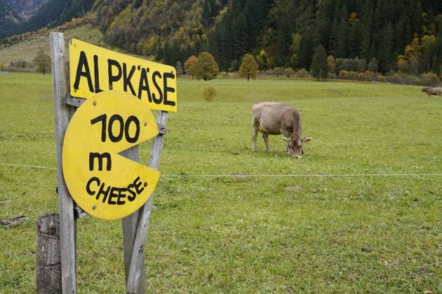 12.10.2024 Schweiz,Berner Oberland. Bild : Verkauf von Alpkaese *** 12 10 2024 Switzerland,Bernese Oberland Picture Sale of alpine cheese 