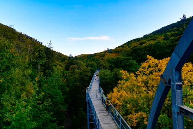 Baumwipfelpfad Bad Harzburg Blick am 11. Oktober 2024 auf dem Baumwipfelpfad Bad Harzburg im Harz. Bad Harzburg Niedersachsen Deutschland _JK19405 *** Treetop Walk Bad Harzburg View on October 11, 2024 on the Treetop Walk Bad Harzburg in the Harz Mountains Bad Harzburg Lower Saxony Germany JK19405