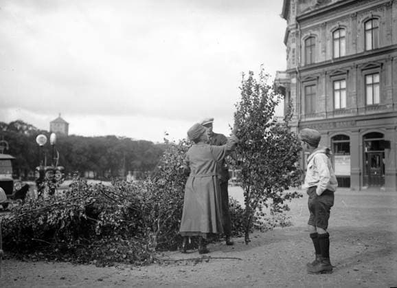 Göteborg 1927-06-23 - Lövmarknad pa Hviteltsplatsen innan Midsommar *** Local Caption *** KAMERAREPORTAGE x2524x *** Gothenburg 1927 06 23 Leaf market at Hviteltsplatsen before Midsummer Local Caption CAMERA REPORT x2524x  Copyright: xKamerareportage TTx