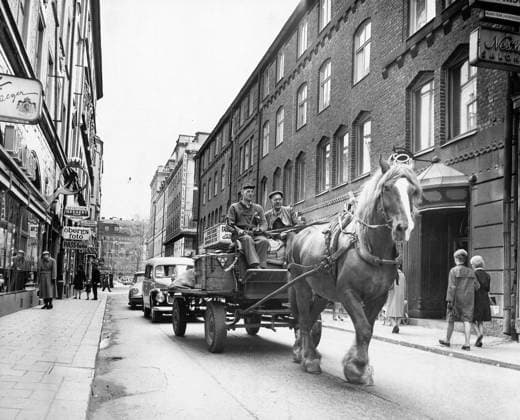 STOCKHOLM 1962-05-17. Inte ens med häst far man längre färdas pa Biblioteksgatan när gatan blir gangstrak och biltrafiken förbjuds. Da är sträckan Stureplan Norrmalmstorg lika lugn och fredlig som Västerlangatan i Gamla stan. Stockholm Sverige x1x *** STOCKHOLM 1962 05 17 Not even by horse can you travel on Biblioteksgatan when the street becomes pedestrianized and car traffic is banned Then the stretch Stureplan Norrmalmstorg is as quiet and peaceful as Västerlangatan in the Old Town Stockholm Sweden x1x  Copyright: xBengtxAlmquist DN TTx BIBLIOTEKSGATAN STOCKHOLM