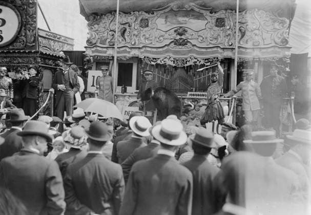 RECORD DATE NOT STATED Wild Animal Show - Coney Island, between c1910 and c1915. Copyright:xHeritagexArt HeritagexImagesxBainxNewsxServicex IMAGO, ! ACHTUNG: AUFNAHMEDATUM GESCHÄTZT!  Copyright:HeritagexArt HeritagexImagesxBainxNewsxServicex IMAGO