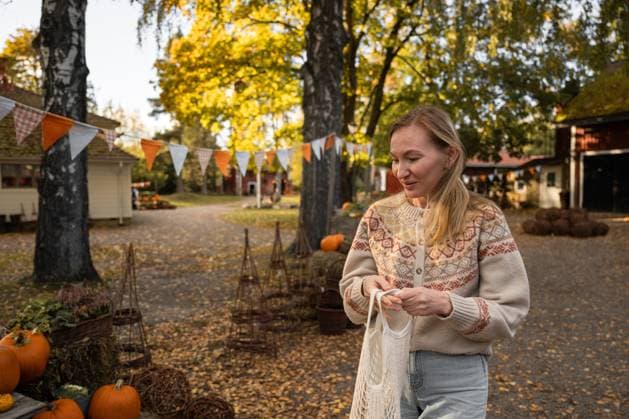 woman chooses a pumpkin on the market Espoo, Uusimaa, Finland R_PJJZ2410156D-1558410-01 ,model released, Symbolfoto
