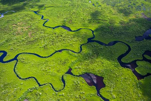 Aerial view of Everglades National Park in Florida, USA , 01.09.2019, TTBB_ti01109495.jpg, Color Image,Horizontal,Aerial View,High Angle View,Outdoors,Day,Everglades National Park,National Park,Travel,Travel Destinations,Florida - USA,UNESCO,UNESCO World Heritage Site,North America,No People,Landscape,Scenics,Nature,Wetland,Tropical Climate,Grass,River,Water,Green,USA Copyright: xTGIx