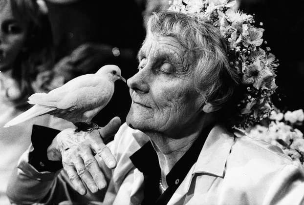 ARKIV 1987 - Astrid Lindgren som fyller 80 ar den här dagen uppvaktas av en vit duva som spelade en stor roll när Bröderna Lejonhjärta spelades pa Göta Lejon i Stockholm. Bilden publicerad i boken Bilder som förändrat Sverige - en berättelse om Expressens bildjournalistik 1944-2004. STOCKHOLM SVERIGE PB-KOD:14 x14x *** ARCHIVE 1987 Astrid Lindgren, who turns 80 this day, is courted by a white dove that played a major role when The Brothers Lionheart was played at Göta Lejon in Stockholm The picture published in the book Images that changed Sweden a story about Express photojournalism 1944 2004 STOCKHOLM SWEDEN PB CODE 14 x14x  Copyright: xJACOBxFORSELLx ASTRID LINDGREN