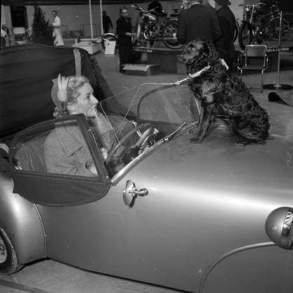 Göteborg april 1951 - Motorcykel och bilmässa i Svenska Mässan - kvinna med hund provar en liten öppen sportbil *** Local Caption *** GT - Lada Krep 2010-10 KAMERAREPORTAGE x2524x *** Gothenburg April 1951 Motorcycle and car fair in Svenska Mässan woman with dog tries a small open sports car Local Caption GT Lada Krep 2010 10 KAMERAREPORTAGE x2524x  Copyright: xKamerareportage TTx