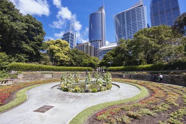 Royal Botanic Garden an einem warmen Herbstmorgen in Sydney, New South Wales, Australien, Ozeanien Royal Botanic Garden on a warm autumn morning in Sydney, New South Wales, Australia, Oceania Copyright: imageBROKER ChrisxPutnam ibxiqx11532279.jpg