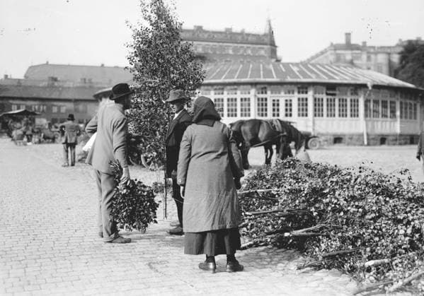 Göteborg 23 juni 1928 Försäljning av lövruskor pa midsommar pa Skanstorget x2524x *** Gothenburg, June 23, 1928 Sale of midsummer rusks at Skanstorget x2524x  Copyright: xKamerareportage TTx