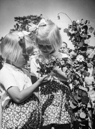 Stockholm 1950-06-21 Midsommar i Kronobergsparken. Lena och Kerstin Hagberg luktar pa prästkragarna som fanns pa midsommmarstangen. Stockholm Sverige x192x *** Stockholm 1950 06 21 Midsummer in Kronobergsparken Lena and Kerstin Hagberg smell the daisies that were on the midsummer pole Stockholm Sweden x192x  Copyright: xDN TTx MIDSOMMAR STOCKHOLM