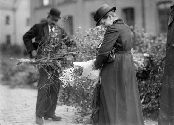 Göteborg - 1926-06-23 - Lövmarknad - Midsommar *** Local Caption *** 1926-05 KAMERAREPORTAGE x2524x *** Gothenburg 1926 06 23 Leaf market Midsummer Local Caption 1926 05 KAMERAREPORTAGE x2524x  Copyright: xKamerareportage TTx