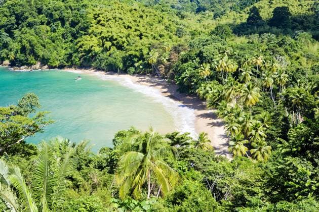 Englishman s Bay, Tobago , 1705712.jpg, outdoor, outdoors, outside, exterior, exteriors, America, Central America, Greater Antilles, Lesser Antilles, West Indies, Caribbean, Trinidad and Tobago, Tobago, Englishman s Bay, island, islands, nature, natural, landscape, landscapes, scenic, scenics, seascape, seascapes, coastal, coast, coasts, shore, shores, beach, beaches, sea, Caribbean sea, bay, bays, flora, vegetation, tree, trees, palm, palms, palmtree, palmtrees, palm tree, palm trees, tropical, paradise, deserted, solitude, quiet, quietness, tranquil, tranquility, calm, calmness, silence, summer, summertime, destinations, vacations, holidays, travel, travels, travelling, traveling, world travel, world locations, RECORD DATE NOT STATED