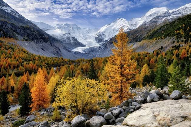 Creative Highlights World Herbstfarbenes Tal in der Morgendämmerung, Morteratsch, Engadin, Kanton Graubünden, Schweiz, Europa Autumn-coloured valley at dawn, Morteratsch, Engadin, Canton Graubünden, Switzerland, Europe Copyright: imageBROKER DanielxBärtschi ibxdab11587802.jpg