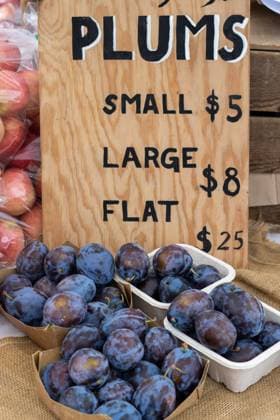 IMAGO Creative, Jahreszeit Sommer, Food, Pflaume Fresh plums in cartons for sale at a farmers market with price sign Kelowna, British Columbia, Canada R_PESF241018D-1542808-01 ,property released