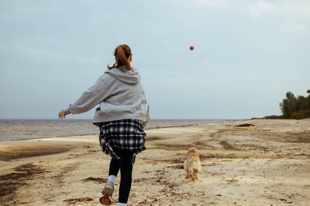 Creative Highlights Symbolfotos The girl throws a red ball to her dog on the beach by the sea. R_ICDY241018-1563867-01 ,model released, Symbolfoto