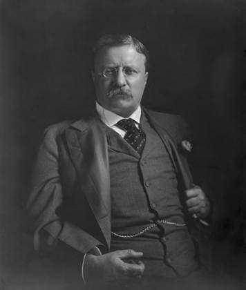 RECORD DATE NOT STATED U.S. President Theodore Roosevelt, Portrait, circa 1907 U.S. President Theodore Roosevelt, Portrait, circa 1907. Copyright: 1010_05_ghi-circa01027