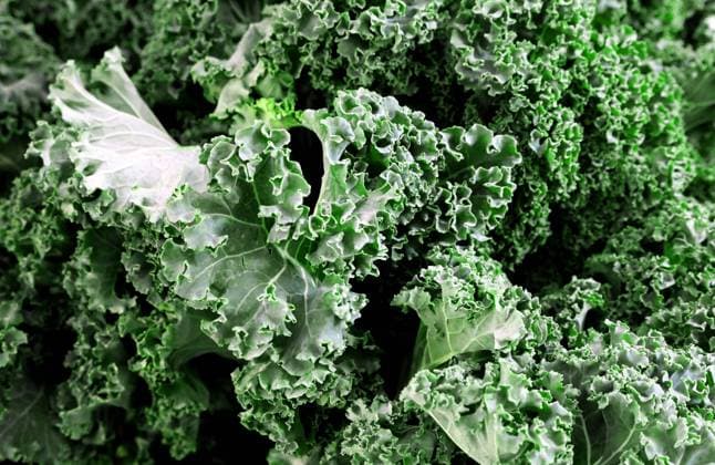 18.10.2024, Berlin - Deutschland. Frischer Grünkohl vom Markt. *** 18 10 2024, Berlin Germany Fresh kale from the market