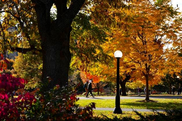 News Bilder des Tages October 24, 2024, Ottawa, On, CAN: People make their way through Major s Hill Park amongst the fall coloured leafs in Ottawa on Thursday, Oct. 24, 2024. Ottawa CAN  - ZUMAc35_ 20241024_zaf_c35_074 Copyright: xSeanxKilpatrickx