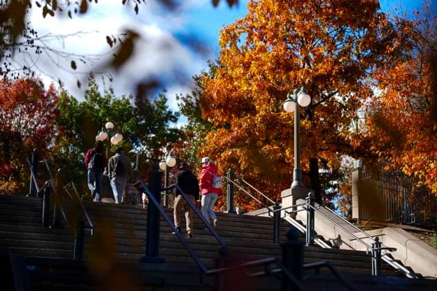 October 24, 2024, Ottawa, On, CAN: People make their way to Major s Hill Park amongst the fall coloured leafs in Ottawa on Thursday, Oct. 24, 2024. Ottawa CAN  - ZUMAc35_ 20241024_zaf_c35_076 Copyright: xSeanxKilpatrickx