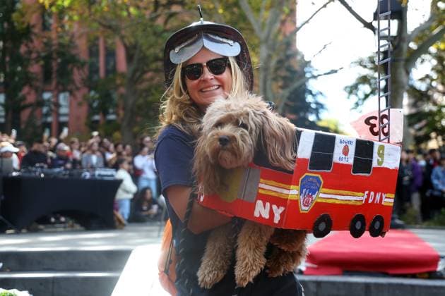 Entertainment Themen der Woche KW43 Entertainment Bilder des Tages Hunde Halloween Parade in New York Washington Square Park Dog Halloween A woman dresses as a firefighter and carries her dog, which is dressed as a fire truck, during the Washington Square Park Halloween Dog Parade in New York, N.Y., on October 26, 2024. New York City N.Y. United States  Copyright: xGordonxDonovanx originalFilename: donovan-notitle241026_np3UG.jpg