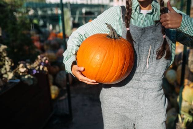Female farmer holding ripe pumpkin and showing thumb up. Female farmer holding ripe pumpkin and showing thumb up. The concept of agriculture. ,model released, Symbolfoto Copyright: xZoonar.com OleksiixHrecheniukx 19495807 ,model released, Symbolfoto ,property released