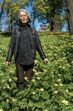 STOCKHOLM 2015-05-06 Anne Carson, kanadensisk författare bosatt i USA STOCKHOLM SVERIGE ACE x30152x  Copyright: xLarsxPehrsonx xSvDx xTTx ANNE CARSON