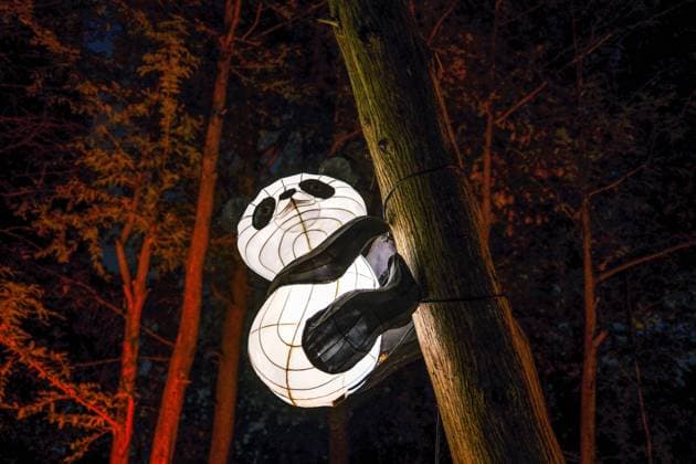 October 30, 2024, Montreal, Quebec, Canada: The Gardens of Light at the Montreal Botanical Garden has begun. In what has become a seasonal tradition, the Gardens of Light pathway offers a spectacular immersive stroll through illuminated First Nations, Chinese and Japanese gardens. Montreal Canada - ZUMAs278 20241030_zip_s278_007 Copyright: xSerkanxSenturkx