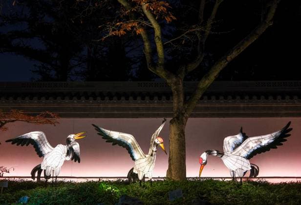 October 30, 2024, Montreal, Quebec, Canada: The Gardens of Light at the Montreal Botanical Garden has begun. In what has become a seasonal tradition, the Gardens of Light pathway offers a spectacular immersive stroll through illuminated First Nations, Chinese and Japanese gardens. Montreal Canada - ZUMAs278 20241030_zip_s278_012 Copyright: xSerkanxSenturkx