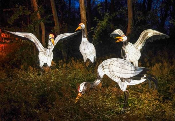 October 30, 2024, Montreal, Quebec, Canada: The Gardens of Light at the Montreal Botanical Garden has begun. In what has become a seasonal tradition, the Gardens of Light pathway offers a spectacular immersive stroll through illuminated First Nations, Chinese and Japanese gardens. Montreal Canada - ZUMAs278 20241030_zip_s278_024 Copyright: xSerkanxSenturkx