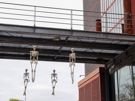 31.10.2024, Deutschland, NRW, Kunst und Kultur, Kunstinstallationen, Skelette hängen an Halloween vor einer Event Location auf dem Gelände der Zeche Zollverein in Essen, Skelett, Deutschland *** 31 10 2024, Germany, NRW, art and culture, art installations, skeletons hanging on Halloween in front of an event location on the grounds of the Zollverein Coal Mine Industrial Complex in Essen, skeleton, Germany Copyright: xD.xKerlekin SnowfieldxPhotographyx SF311024HalloweenD1